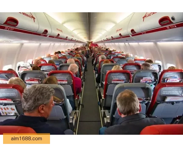 以AF117航班为中心追踪巴黎至北京旅程中的安全服务与旅客体验反馈观察